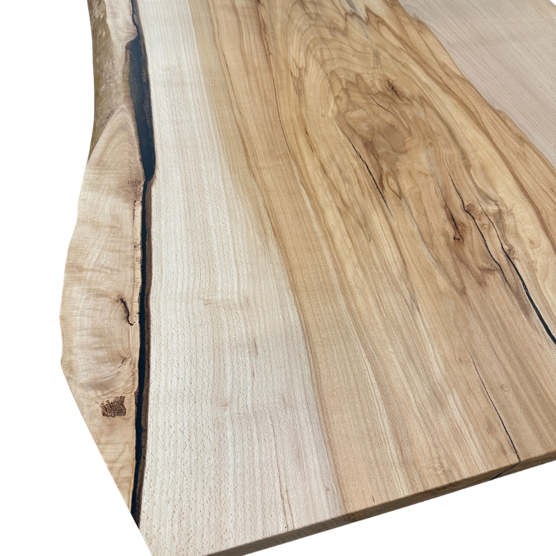 WILD-BEECH - T29 - 259 x 90-107 x 6,5cm