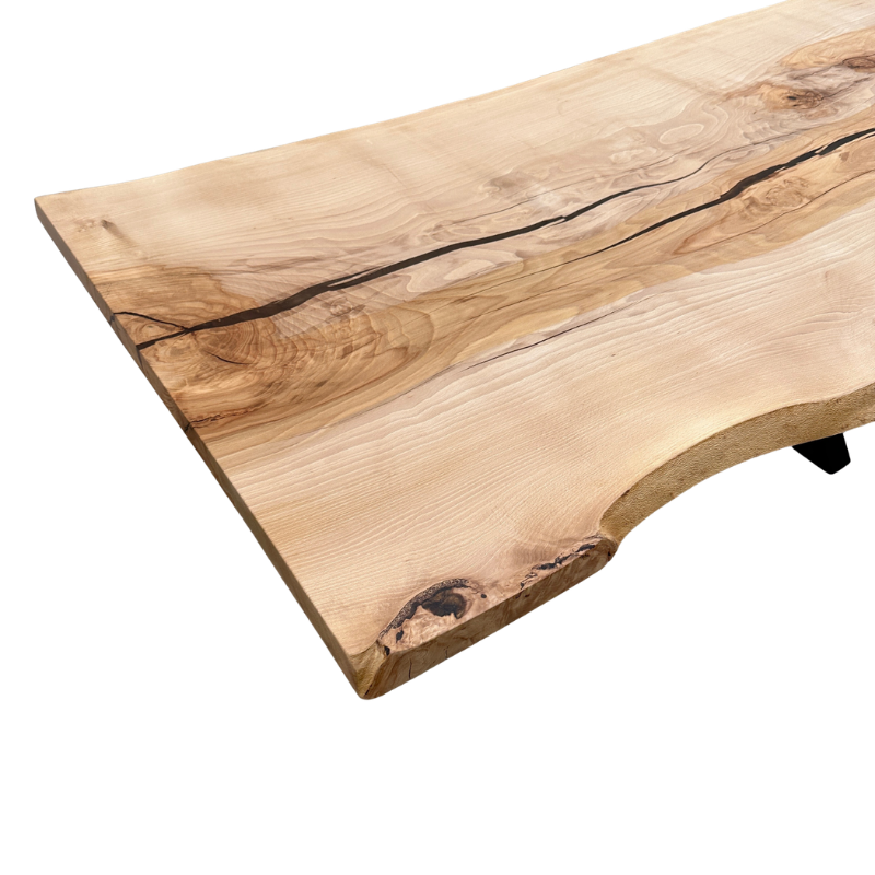 WILD-BEECH - T25 - 261 x 94 -101 x 5cm